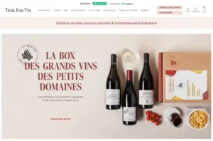 WordPress website design with Elementor Pro