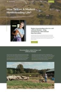 Custom Business Website Design