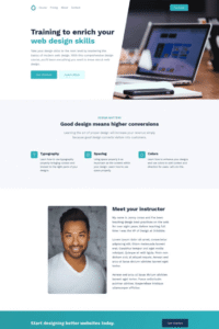 Small Business Website Design Service -Elementor Insights